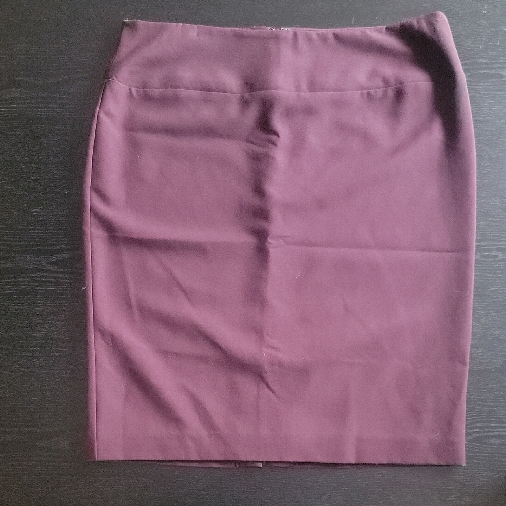 Elegant Purple Women's Skirt